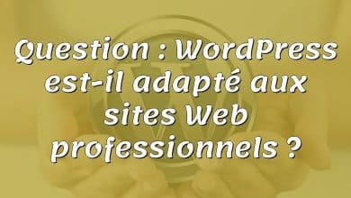 Question : WordPress est-il adapté aux sites Web professionnels ?